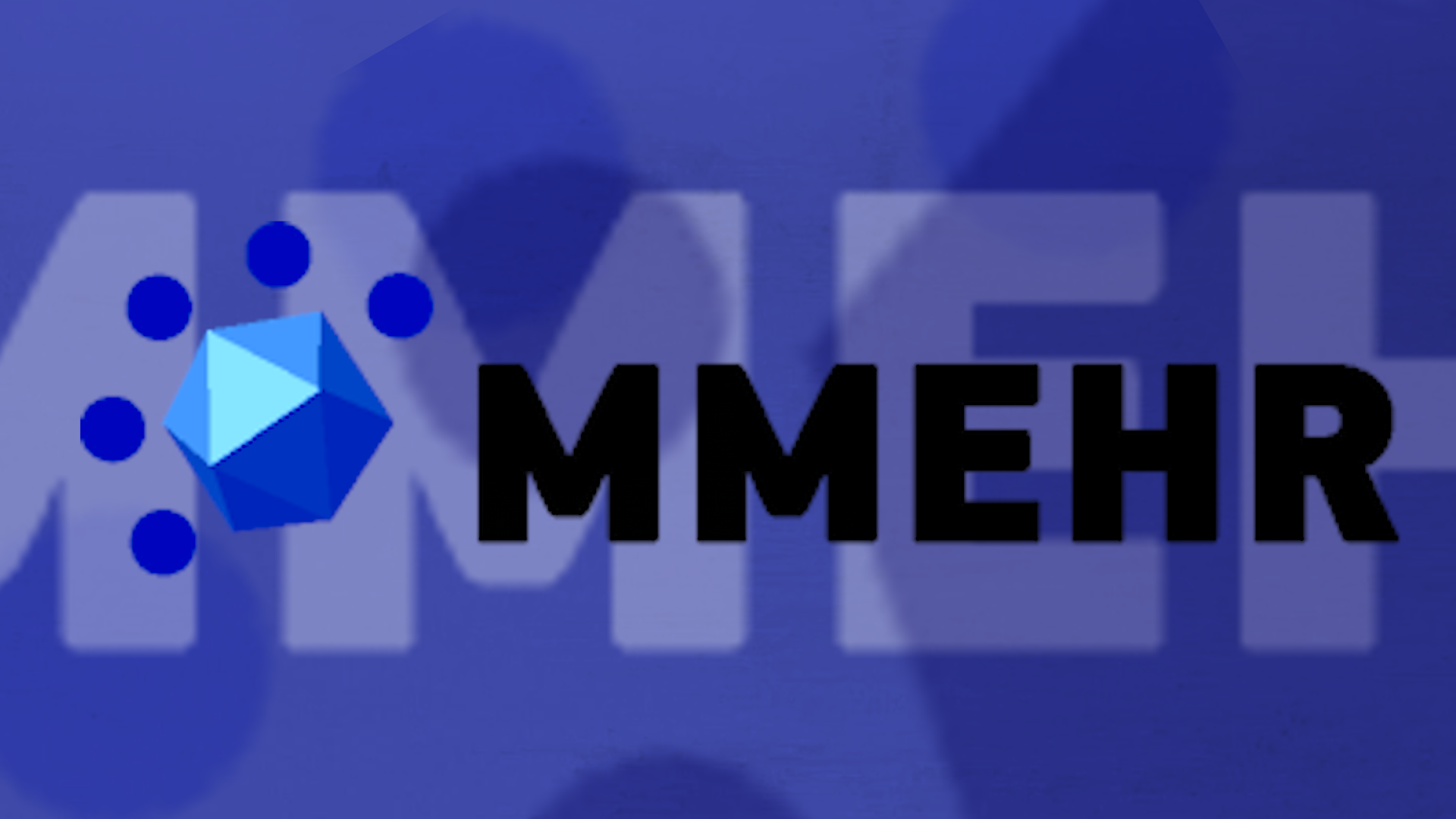 MMEHR Handbook