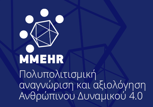 MMEHR Course